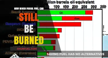 The World's Remaining Carbon Budget