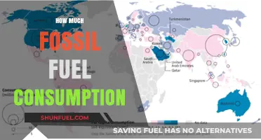 Fossil Fuel Consumption: A Global Concern