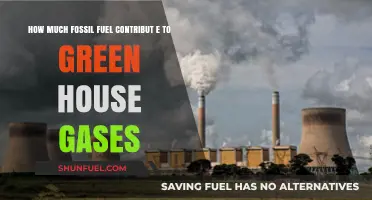 Fossil Fuels: Major Greenhouse Gas Culprits