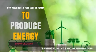 The True Cost of Fossil Fuels: Energy's Expensive Price Tag