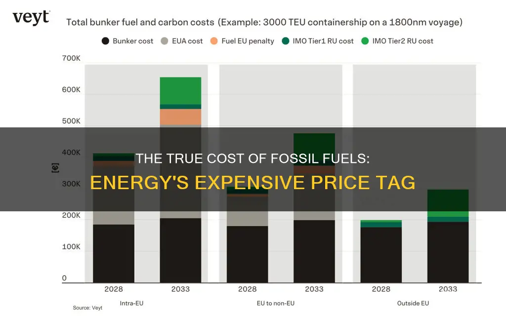 how much fossil fuel cost us yearly to produce energy