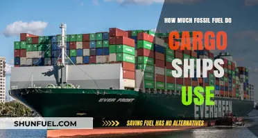 Cargo Ships' Fossil Fuel Consumption: How Much is Too Much?
