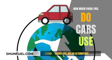 Unveiling the Hidden Fossil Fuel Consumption of Cars