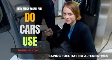 Cars' Fossil Fuel Consumption: How Much is Too Much?