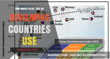 Developing Countries' Fossil Fuel Usage Examined