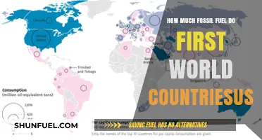 The Dark Side of First World Energy Consumption