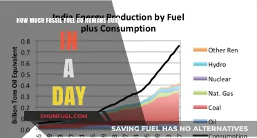 Humanity's Daily Fossil Fuel Consumption: A Sobering Reality
