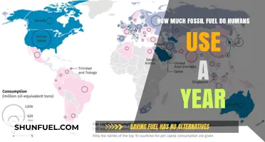 The World's Annual Fossil Fuel Consumption