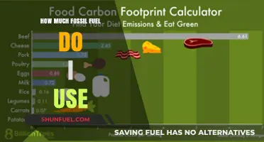 Your Fossil Fuel Footprint: How Much Do You Consume?