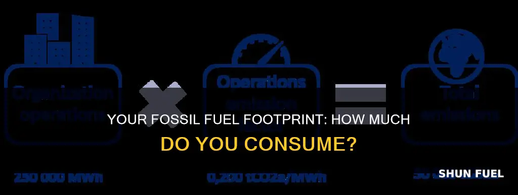 how much fossil fuel do i use
