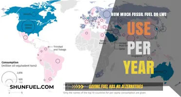 Our Fossil Fuel Usage: A Yearly Overview