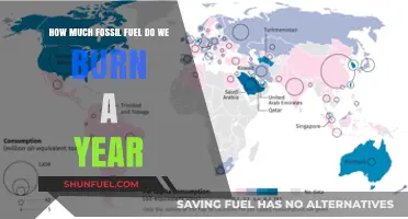 The World's Annual Fossil Fuel Consumption