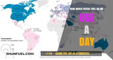 The World's Daily Fossil Fuel Consumption