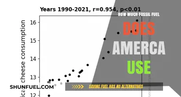 America's Fossil Fuel Consumption: A Troubling Reality