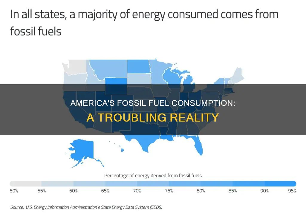 how much fossil fuel does amerca use