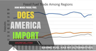 America's Fossil Fuel Imports: Understanding the Energy Dependence