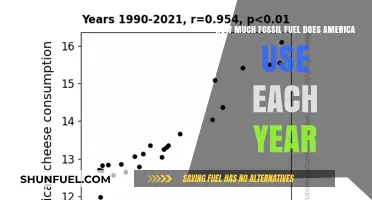 America's Annual Fossil Fuel Consumption: A Sobering Overview