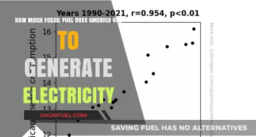 America's Fossil Fuel Dependence for Electricity Generation