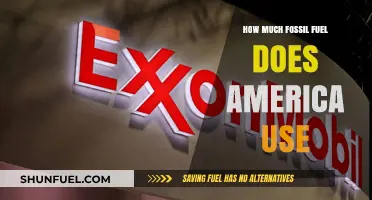 America's Fossil Fuel Consumption: Uncovering the Nation's Energy Reliance