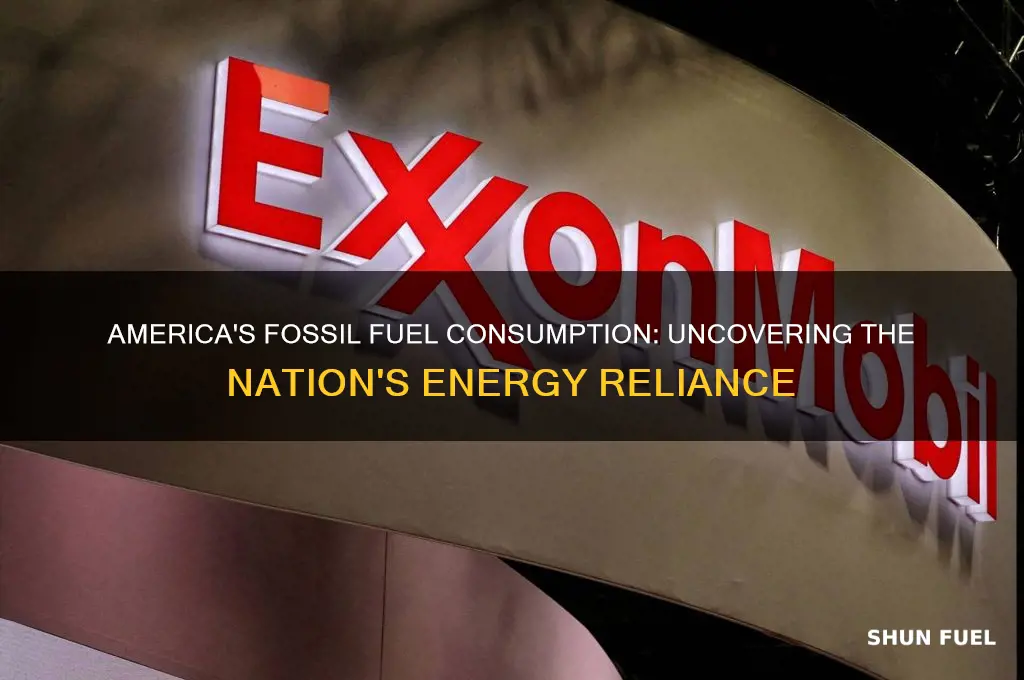 how much fossil fuel does america use