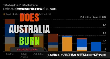 Australia's Fossil Fuel Consumption: Burning Through Reserves