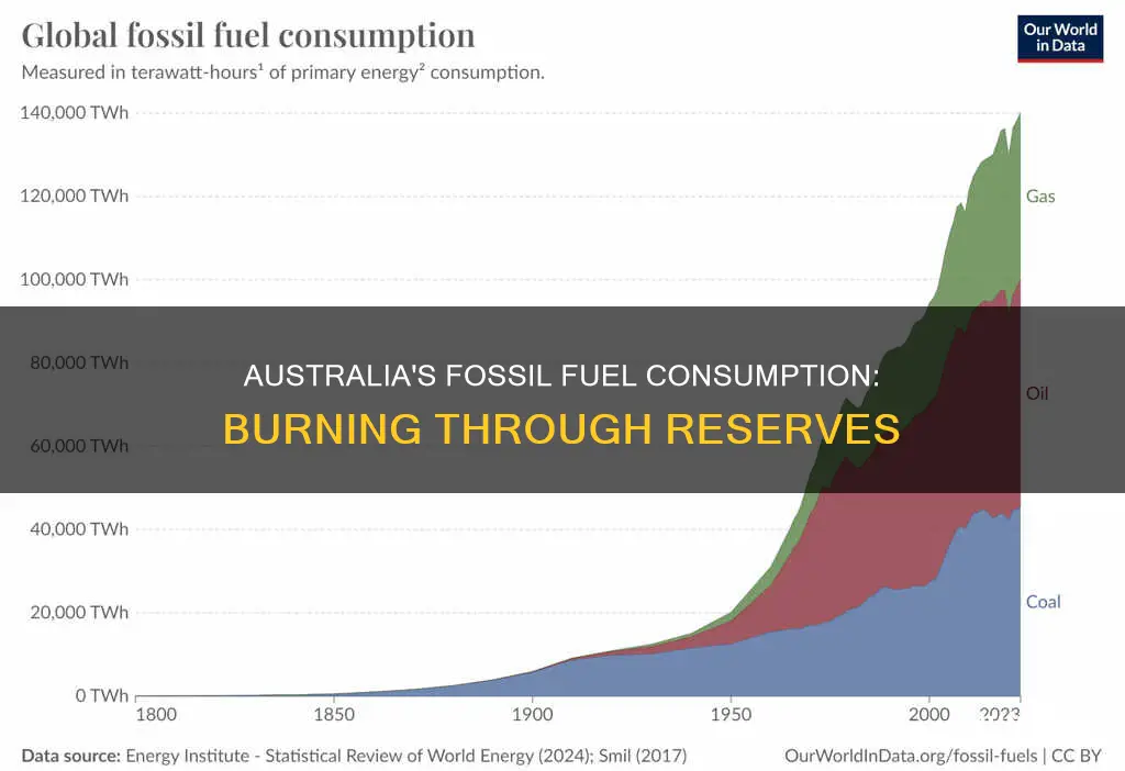 how much fossil fuel does australia burn