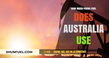 Australia's Fossil Fuel Consumption: Usage, Impact, and Future Trends