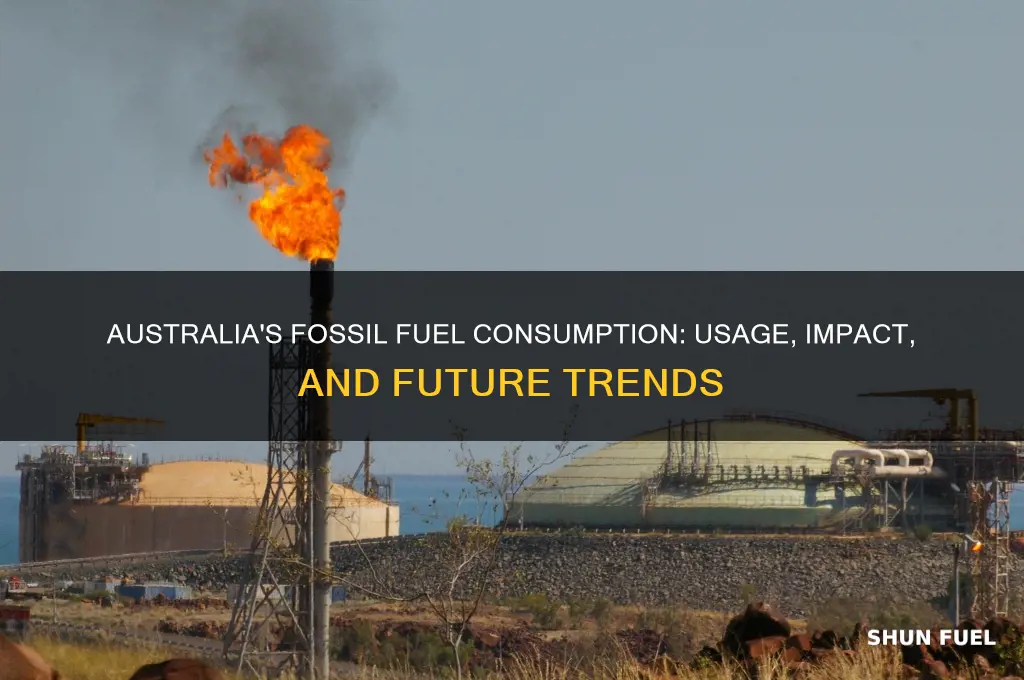 how much fossil fuel does australia use
