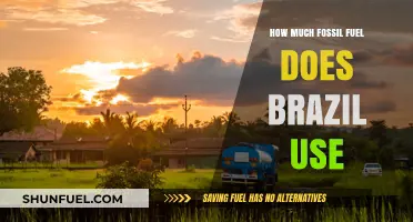 Brazil's Fossil Fuel Consumption: A Data-Driven Overview
