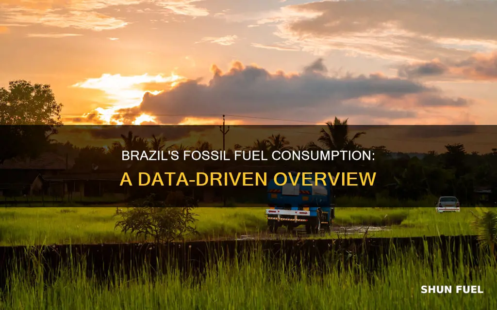how much fossil fuel does brazil use