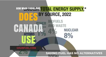 Canada's Fossil Fuel Consumption: A Comprehensive Overview