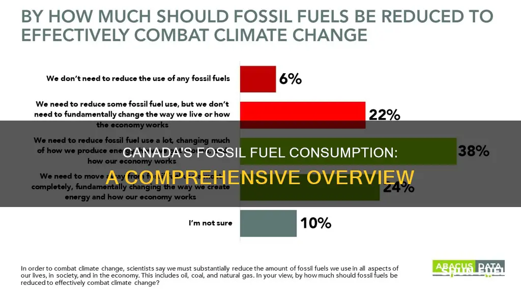 how much fossil fuel does canada use