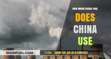 China's Fossil Fuel Consumption: A Critical Analysis