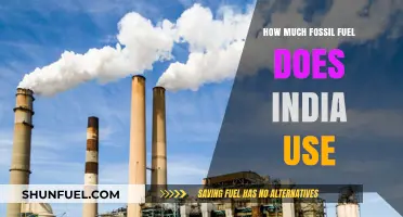 India's Fossil Fuel Consumption: A Comprehensive Overview