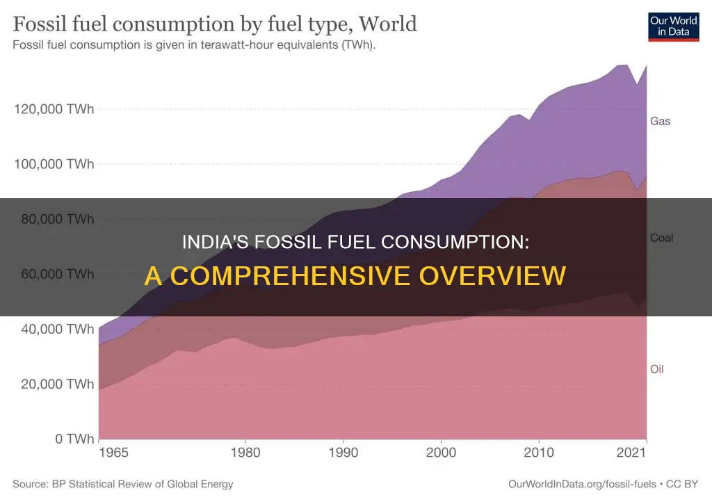 how much fossil fuel does india use