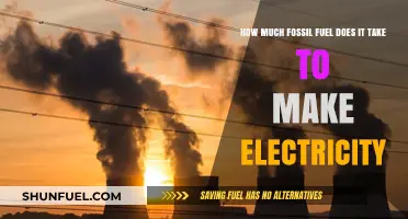 The Electricity-Fossil Fuel Connection: Understanding Energy Sources