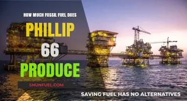 Phillip 66's Fossil Fuel Production: A Comprehensive Overview