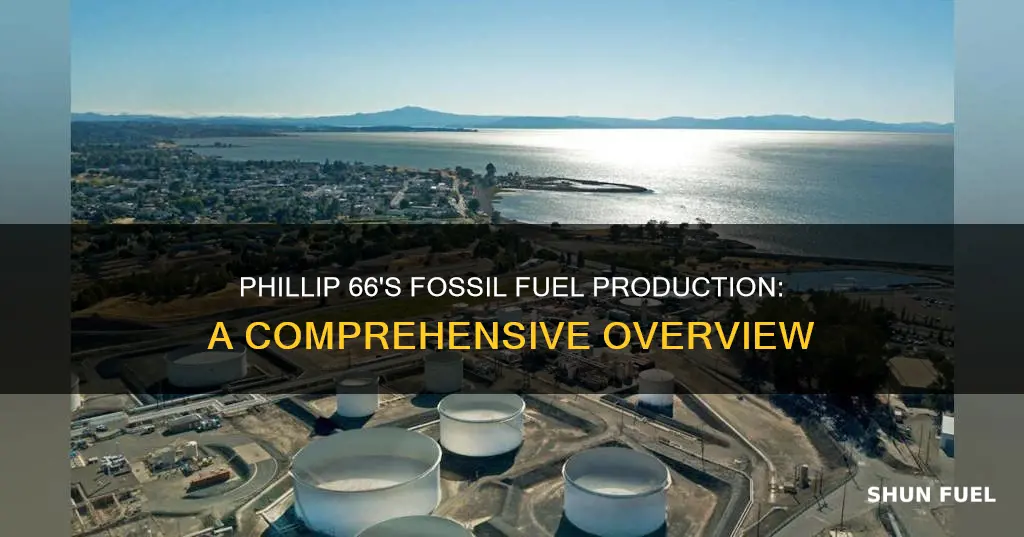 how much fossil fuel does phillip 66 produce