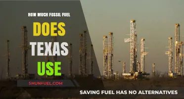 Texas Fossil Fuel Consumption: A Deep Dive