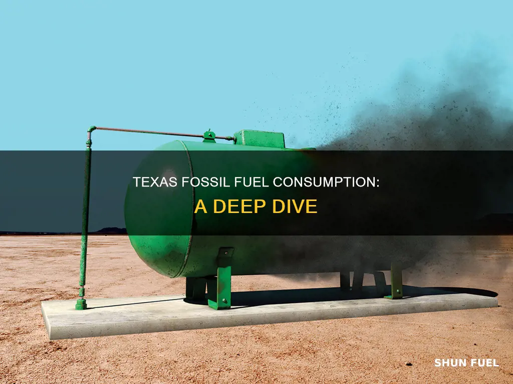 how much fossil fuel does texas use