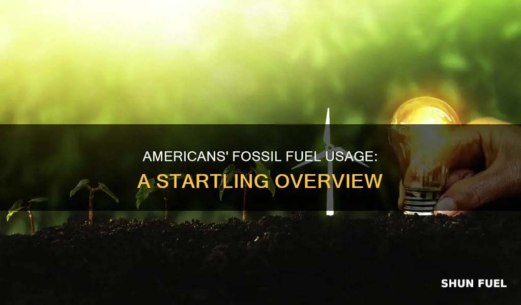 how much fossil fuel does the average american use