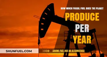The World's Fossil Fuel Production: A Yearly Overview
