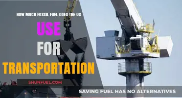 Transportation's Fossil Fuel Consumption in the US