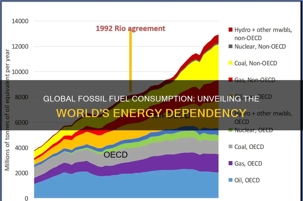 how much fossil fuel does the world use