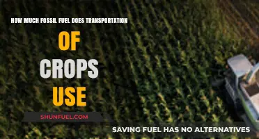 Transporting Crops: Fossil Fuel Consumption