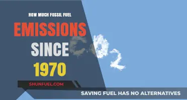 Fossil Fuel Emissions: A 50-Year Legacy