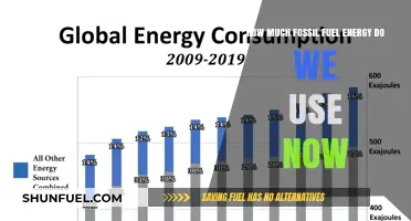 The World's Fossil Fuel Addiction: Current Energy Usage