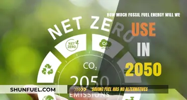 Future Fossil Fuel Usage: 2050 Predictions
