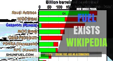Remaining Fossil Fuel Reserves: How Much Is Left?