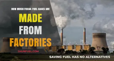 Industrial Emissions: Fossil Fuel Gas Output Examined